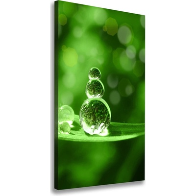 Vertikálny foto obraz na plátne Kvapky na tráve 50x100 cm