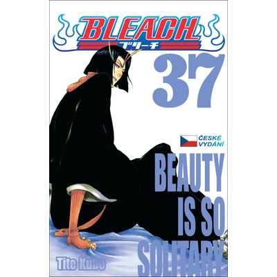 Bleach 37: Beauty Is So Solitary