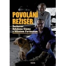 Povolání režisér