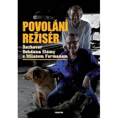 Povolání režisér