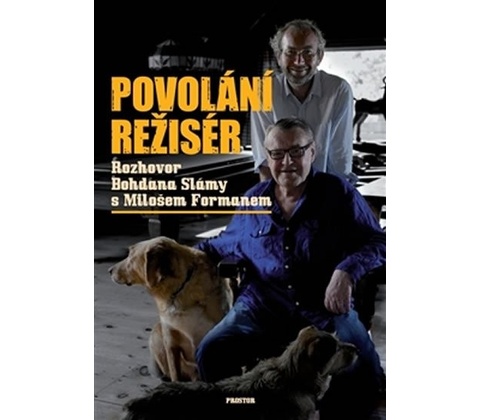 Povolání režisér