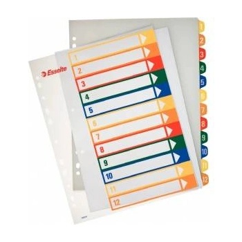 Esselte Printable covers Maxi A4 1-12 (100214)