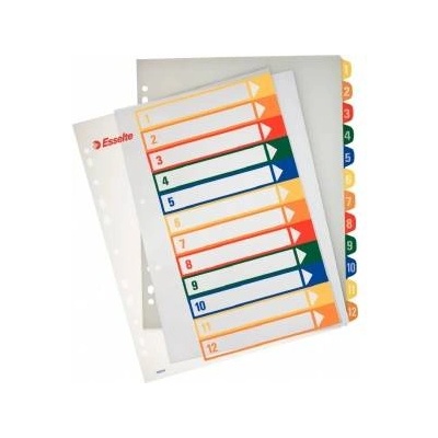 Esselte Printable covers Maxi A4 1-12 (100214)