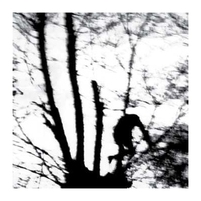 Cindytalk - Camouflage Heart LP