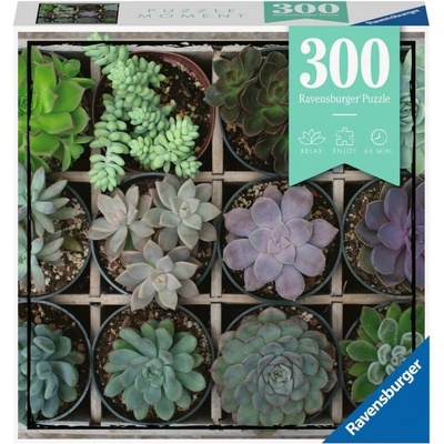 Ravensburger Rastlinné Prvky 300 dielov