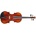 Bacio Instruments AV50