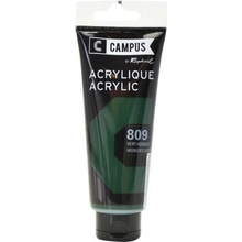 Akrylová barva Campus 100 ml Hooker´s green 809