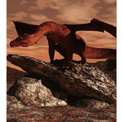 Dimex MS-3-0234 vliesová fototapeta rozměry 225 x 250 cm