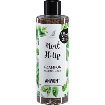 Anwen Mint It Up exfoliačný šampón 200 ml
