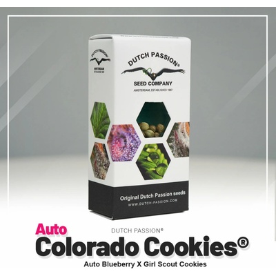 Dutch Passion AUTO Colorado Cookies semena neobsahují THC 3 ks