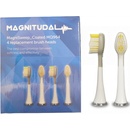 Magnitudal MagniSweep 4 ks