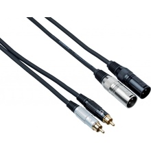 Bespeco EAY2X2R300