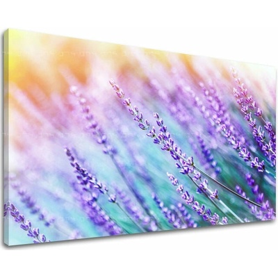 Obraz na stenu KVETY - 40x60 cm