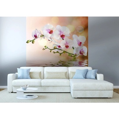 Dimex MS-3-0147 vliesová fototapeta na zeď Bílá orchidej rozměry 225 x 250 cm