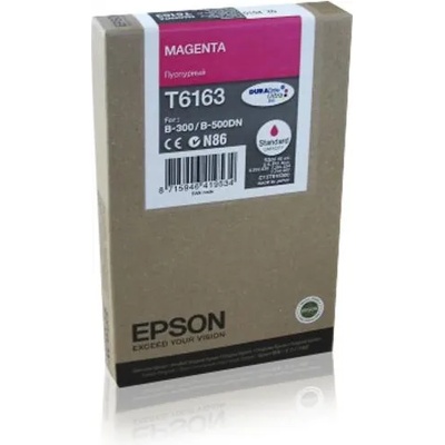 Epson T6163