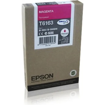 Epson T6163