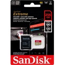SanDisk microSDXC UHS-I U3 256 GB SDSQXAV-256G-GN6MA