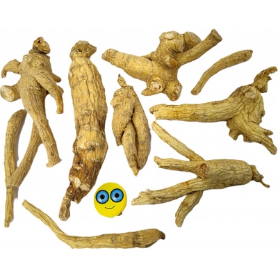 STEZA Ženšen pravý kořen celý 100 g