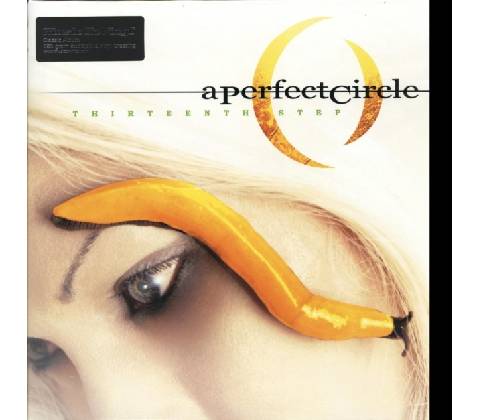 A PERFECT CIRCLE: THIRTEENTH STEP LP