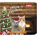 Nobby Kalendář StarSnack adventní kalendář pro kočky
