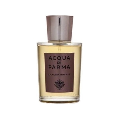 Acqua di Parma Colonia Intensia kolínska voda pánska 100 ml