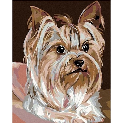 Zuty Malování podle čísel Jorkšírka 80 x 100 cm bez rámu a bez vypnutí plátna