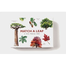 Match a Leaf A Tree Memory Game:A Tree Memory Game