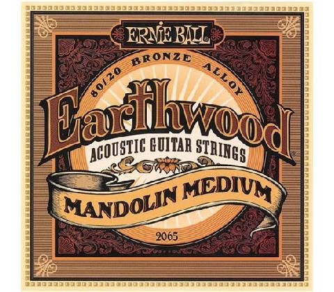 Ernie Ball 2065