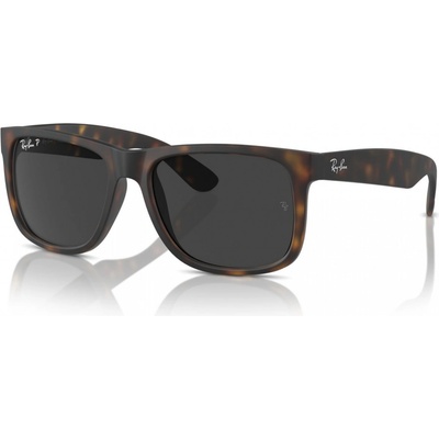 Ray-Ban RB4165 865 87