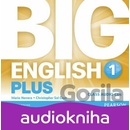 Big English Plus 1 Class