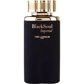 Ted Lapidus Black Soul Imperial toaletní voda pánská 100 ml