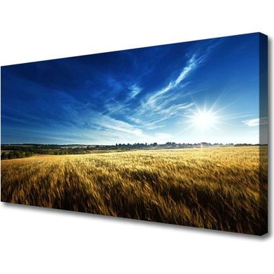 Obraz Canvas Pole obilie slnko krajina 100x50 cm