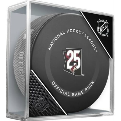 InGlasCo Fanúšikovský puk NHL Game Anniversary