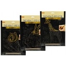 SMT Creatoys Škrabací obrázek zlatý A4 3 druhy