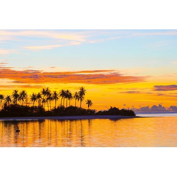 DIMEX ART s. r. o Флизелинов фототапет палми 375 x 250 см