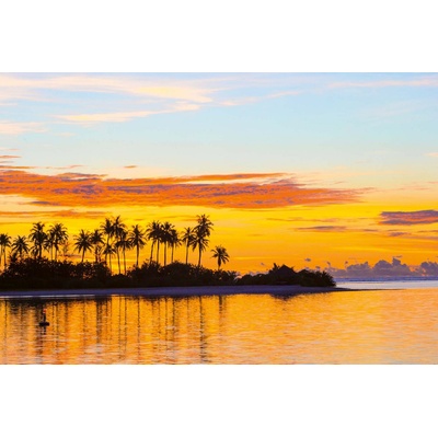 DIMEX ART Флизелинов фототапет палми 375 x 250 см