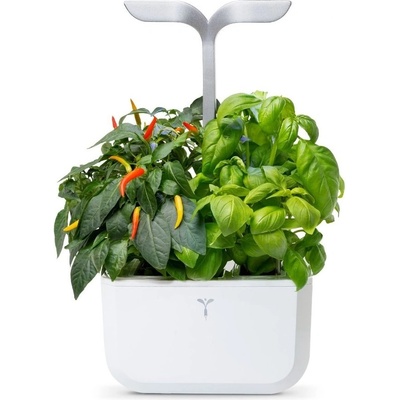 Véritable Домашна градина Veritable - Exky, 4 W, 2 броя пълнители, бяло-инокс (VEXK-SAWAS-FR-40)