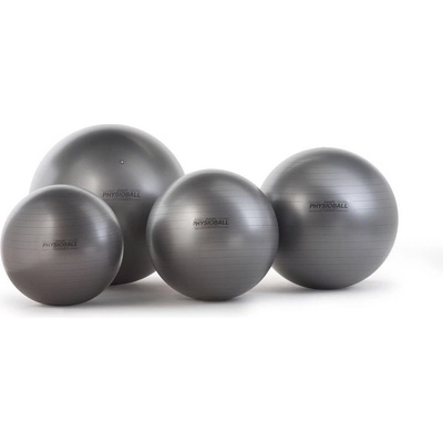 Ledragomma Physio Ball 105 cm