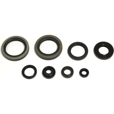 Sada gufer motoru ATHENA P400510400252
