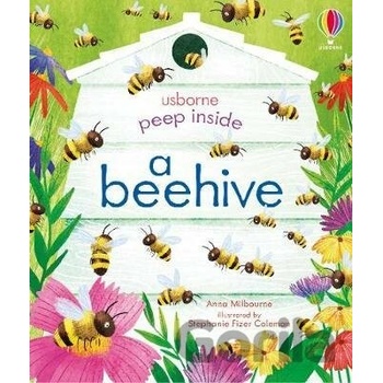 Peep Inside a Beehive