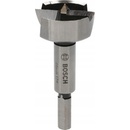 Bosch 2609255291