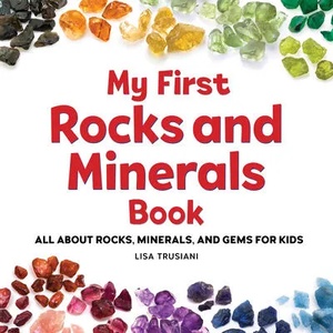 All about Rocks and Minerals: An Introduction for Kids | Lisa Trusiani (ISBN: 9781638781288)
