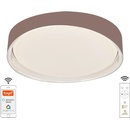 Nedes LC902Y