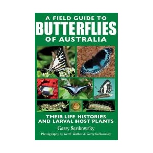 A Field Guide to Butterflies of Australia | Garry Sankowsky, Geoff Walker (ISBN: 9781760796884)