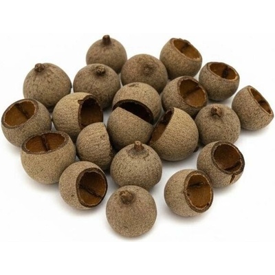 824 Gaurri cup mix 24ks natur