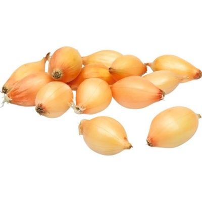 Maják Sazečka cibule ozimá Augusta 250 g