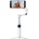 Insta Insta360 Flow 2 Pro