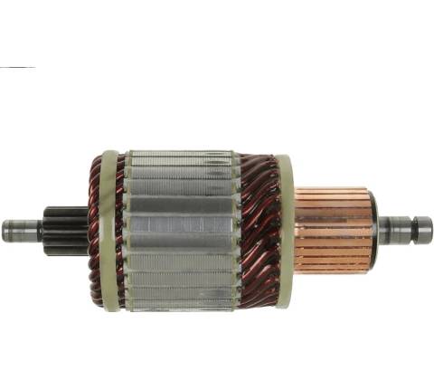 rotor štartéra 1004011265