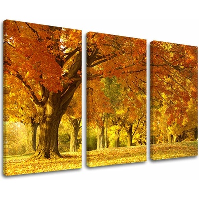 Obraz na stenu STROMY - 120x80 cm