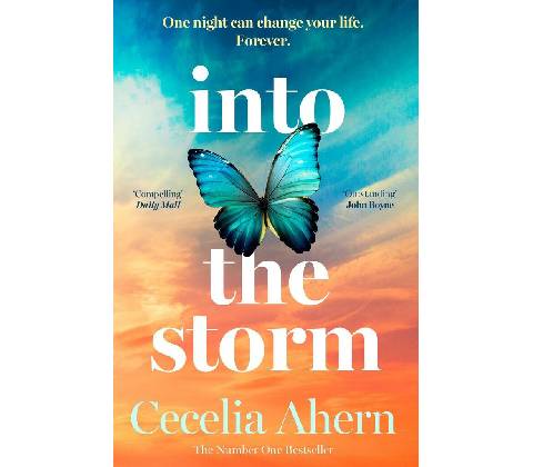 Into the Storm - Cecelia Ahern